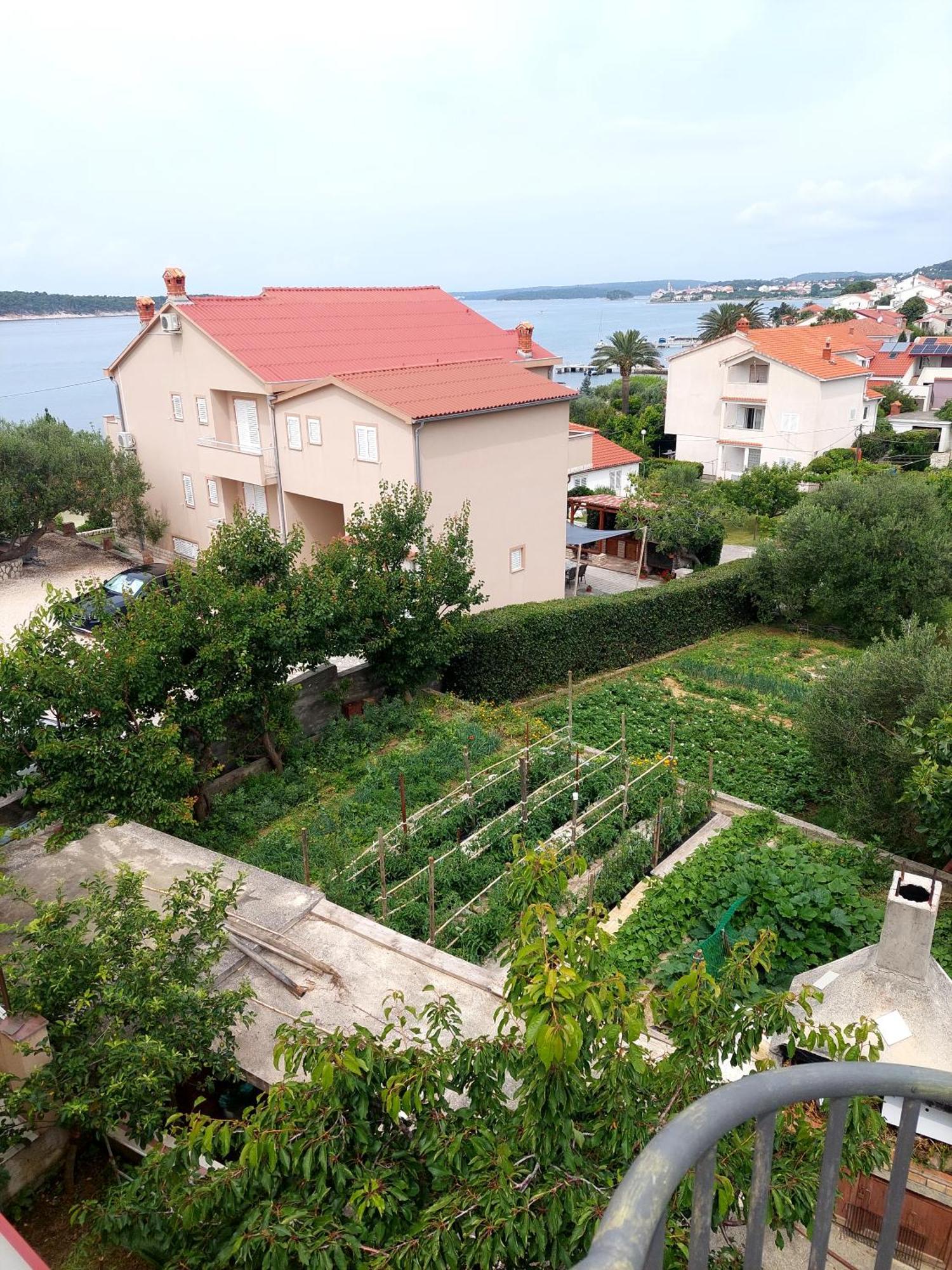 Apartment Olive House Rab Barbat na Rabu Номер фото